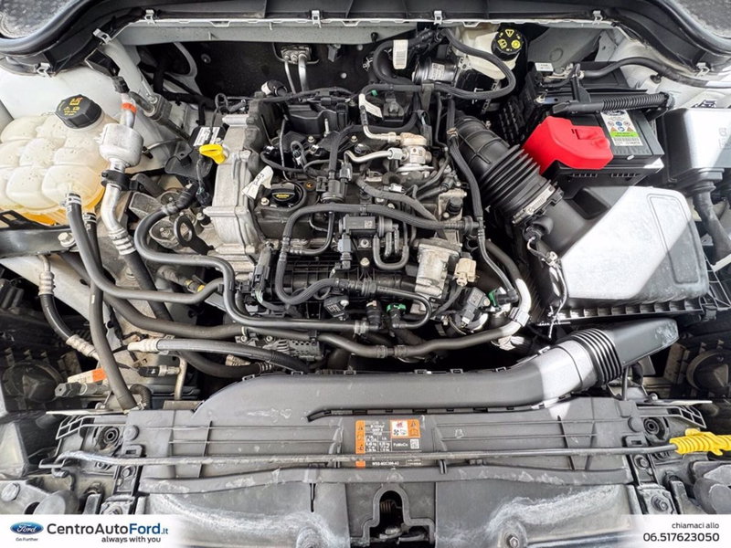 Ford Focus usata a Roma (12)