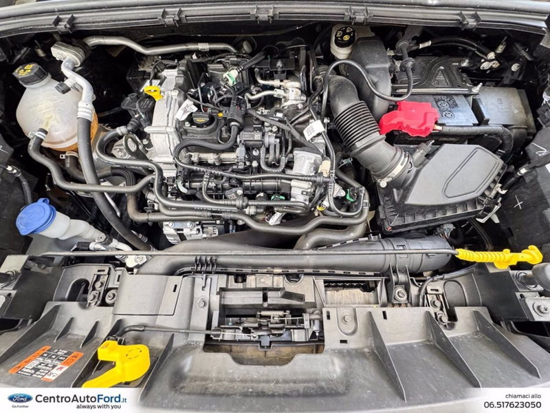 Ford Puma usata a Roma (12)