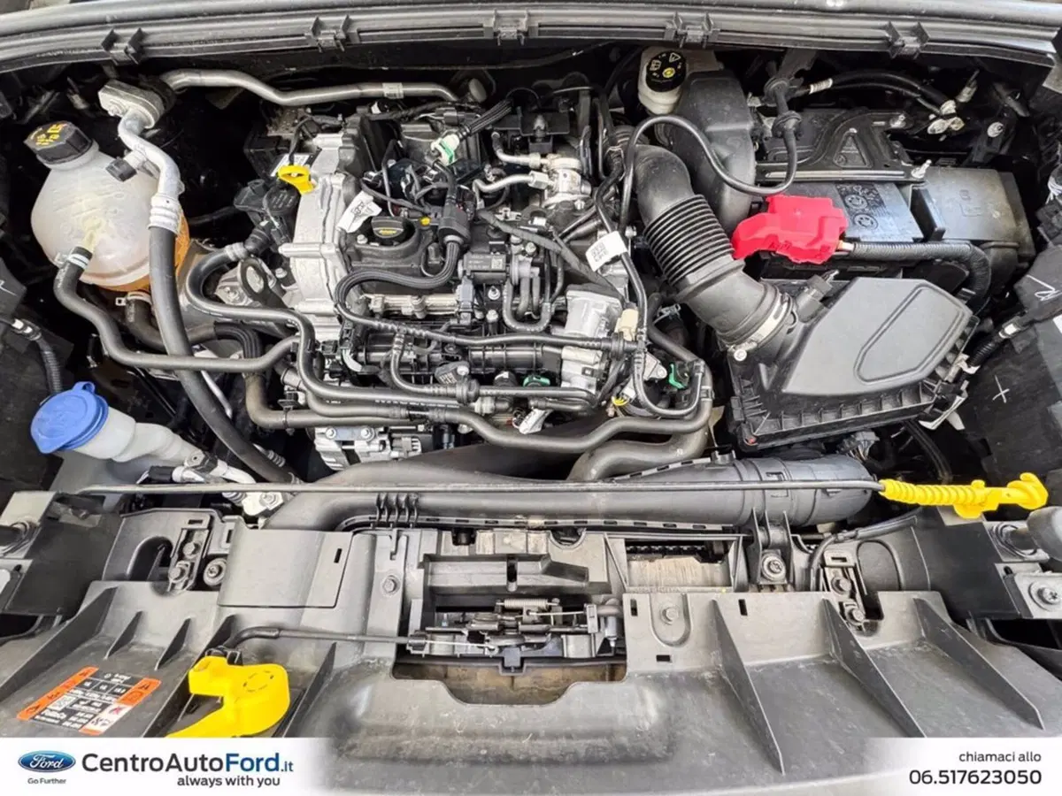 Ford Puma usata a Roma (12)