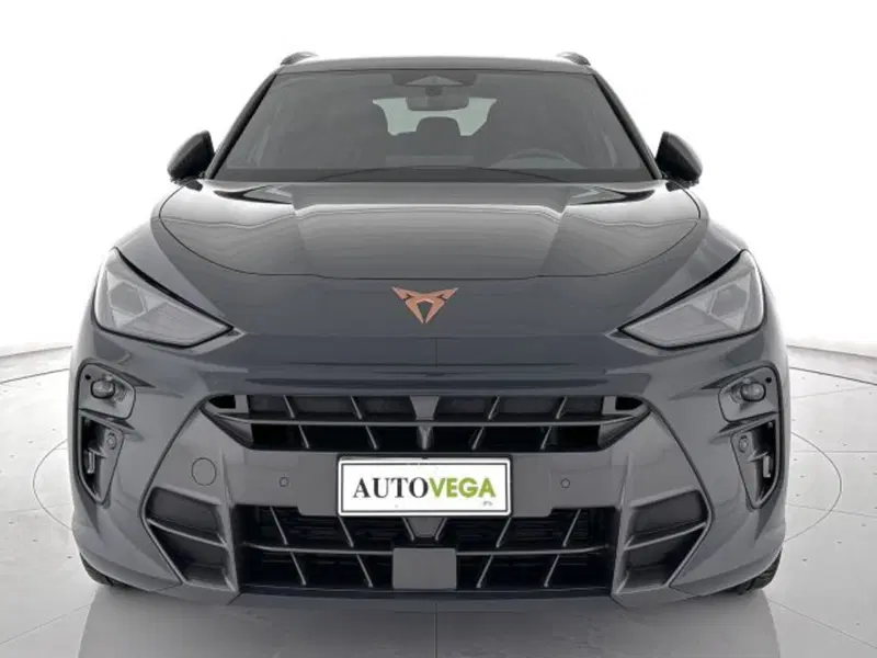 Cupra Terramar usata a Vicenza (2)