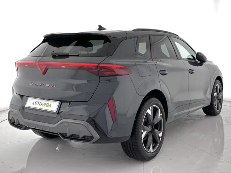 Cupra Terramar usata a Vicenza (3)