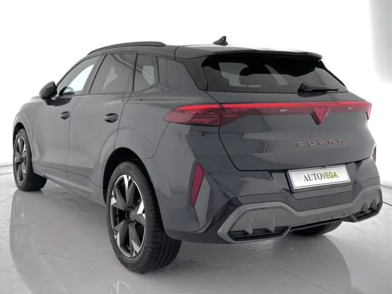 Cupra Terramar usata a Vicenza (5)