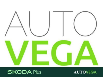 Skoda Fabia 1.0 mpi Selection 80cv nuova a Arzignano