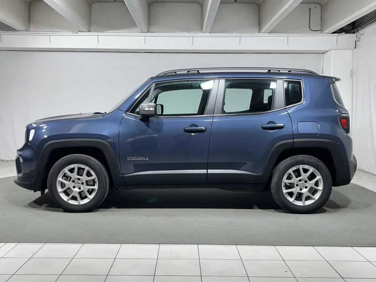 Jeep Renegade usata a Sondrio (2)