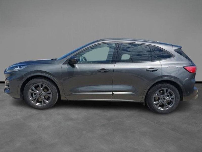 Ford Kuga usata a Lecce (2)