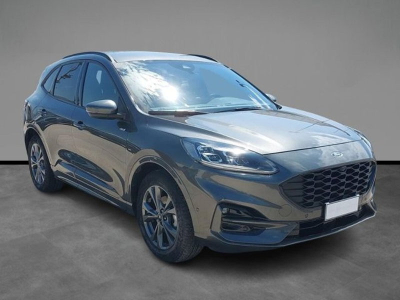 Ford Kuga usata a Lecce (6)