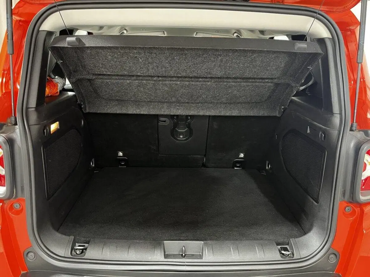 Jeep Renegade usata a Sondrio (15)