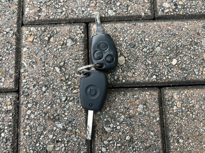 smart forfour usata a Sondrio (15)