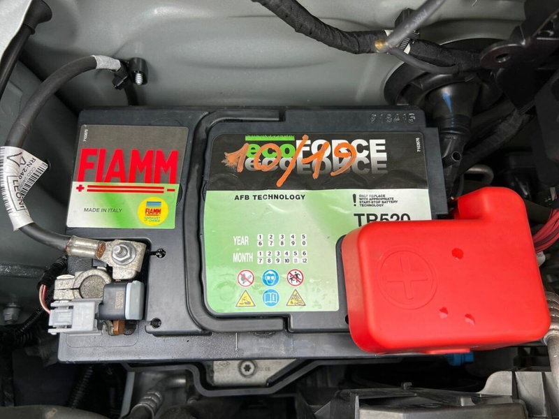 smart forfour usata a Sondrio (17)