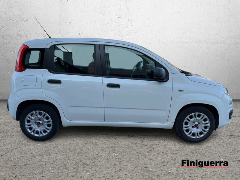 Fiat Panda usata a Sondrio (5)