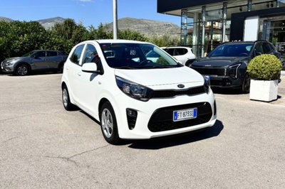 Kia Picanto 1.0 12V 5 porte Active del 2019 usata a Fondi