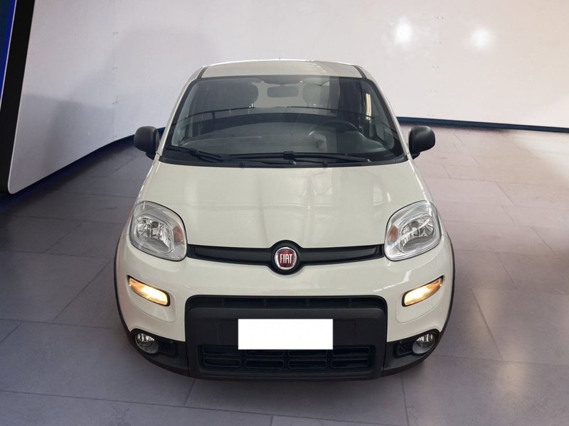 Fiat Panda usata a Torino