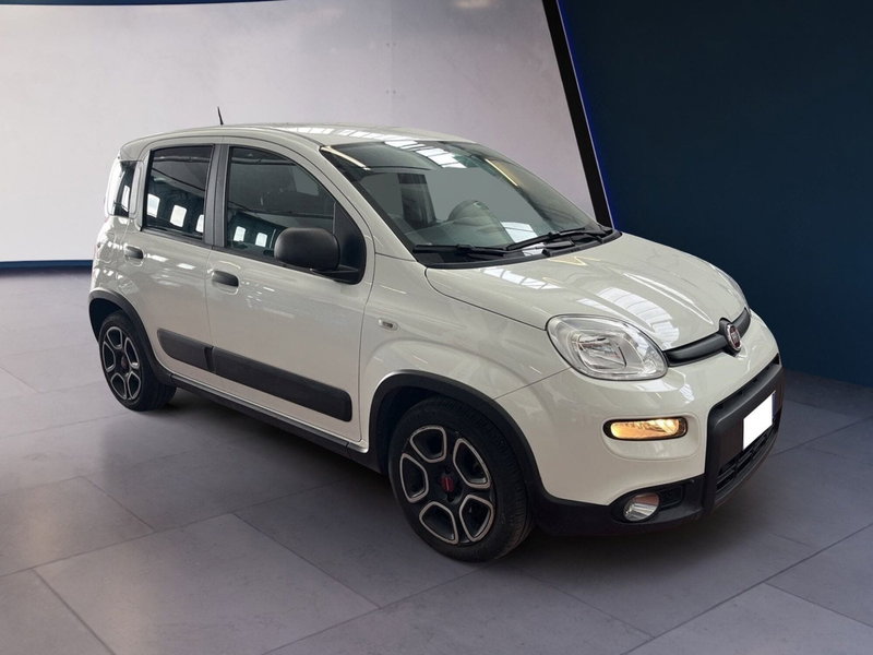 Fiat Panda usata a Torino (2)