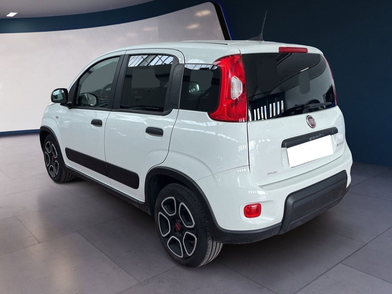 Fiat Panda usata a Torino (4)