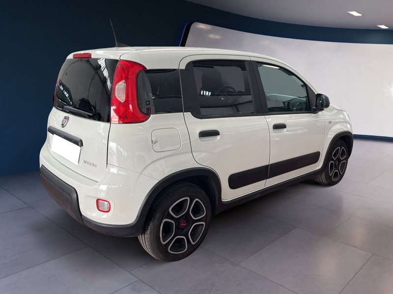Fiat Panda usata a Torino (6)