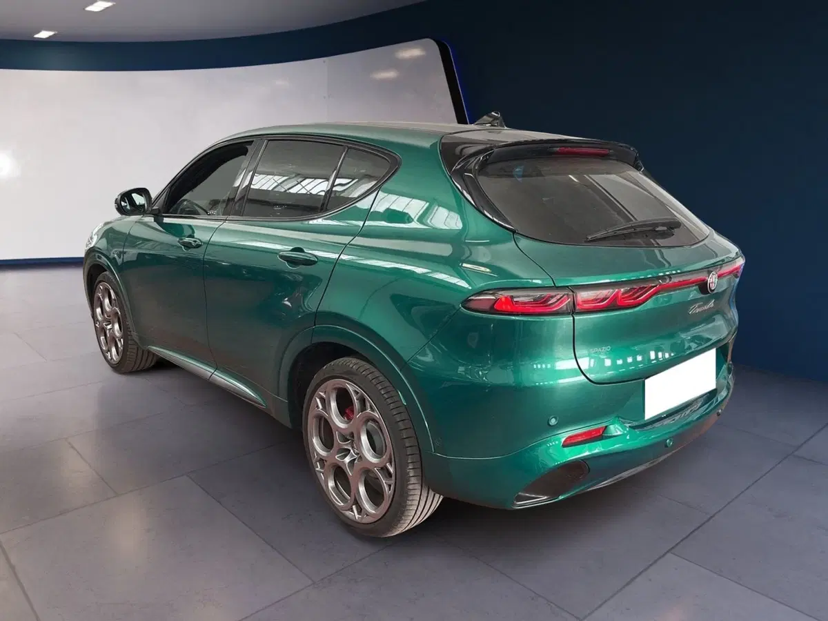 Alfa Romeo Tonale usata a Torino (4)