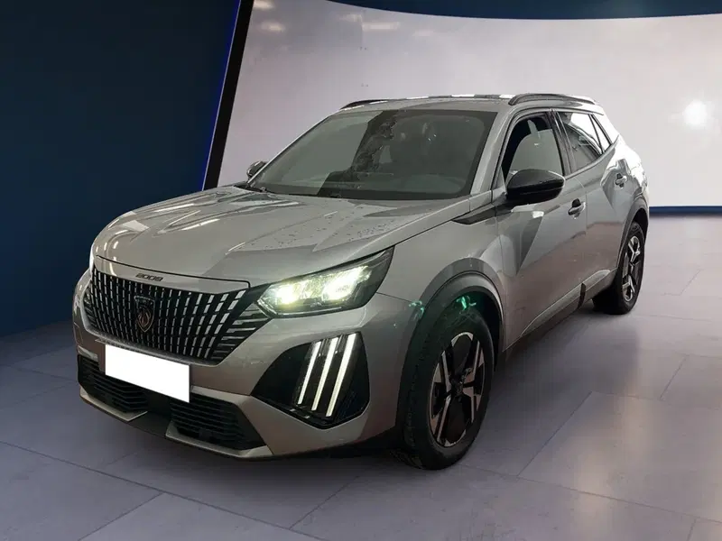 Peugeot 2008 usata a Torino (2)