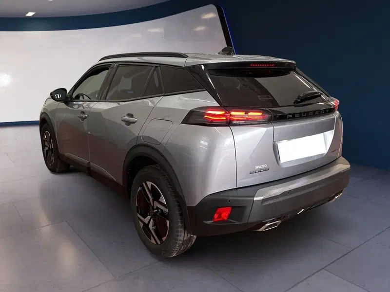 Peugeot 2008 usata a Torino (6)