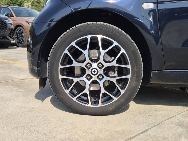 smart Fortwo usata  (11)