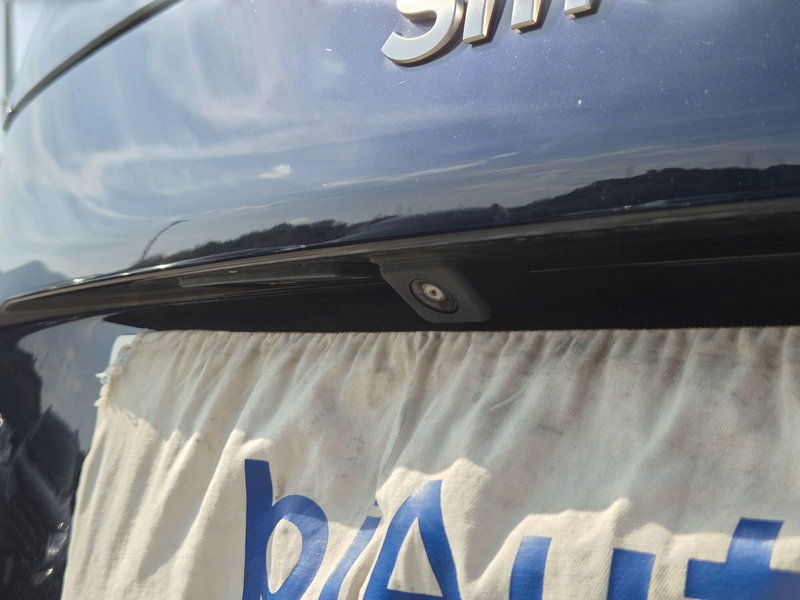 smart Fortwo usata  (14)