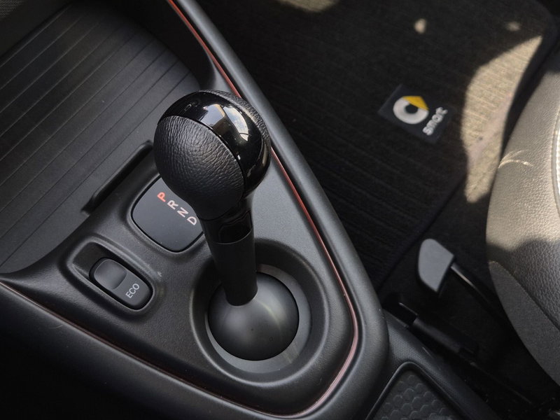 smart Fortwo usata  (9)