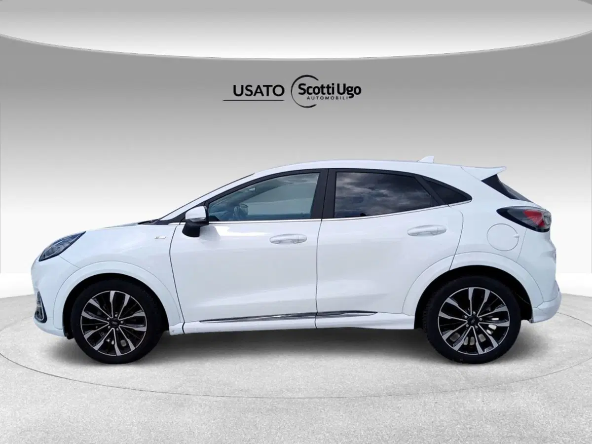 Ford Puma usata a Pisa (3)