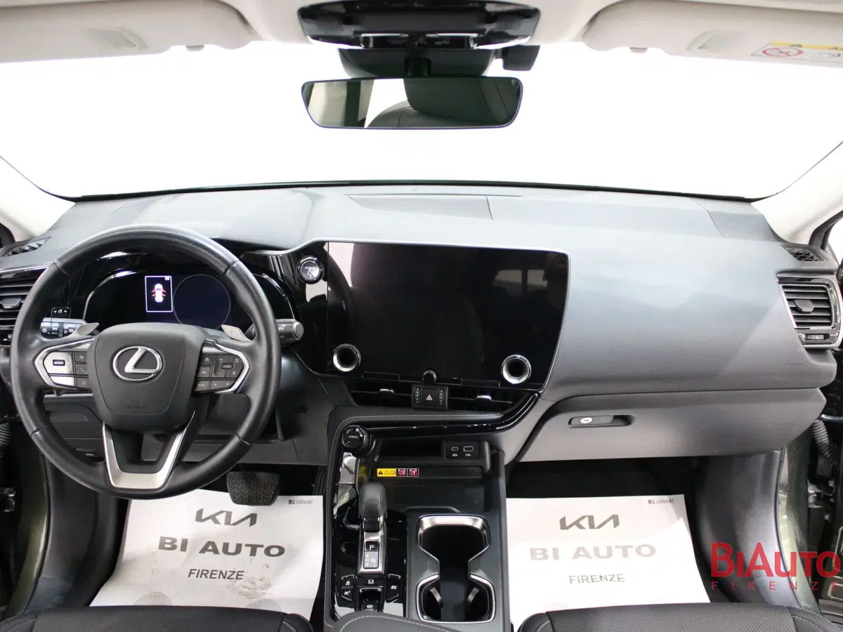 Lexus NX usata a Firenze (10)