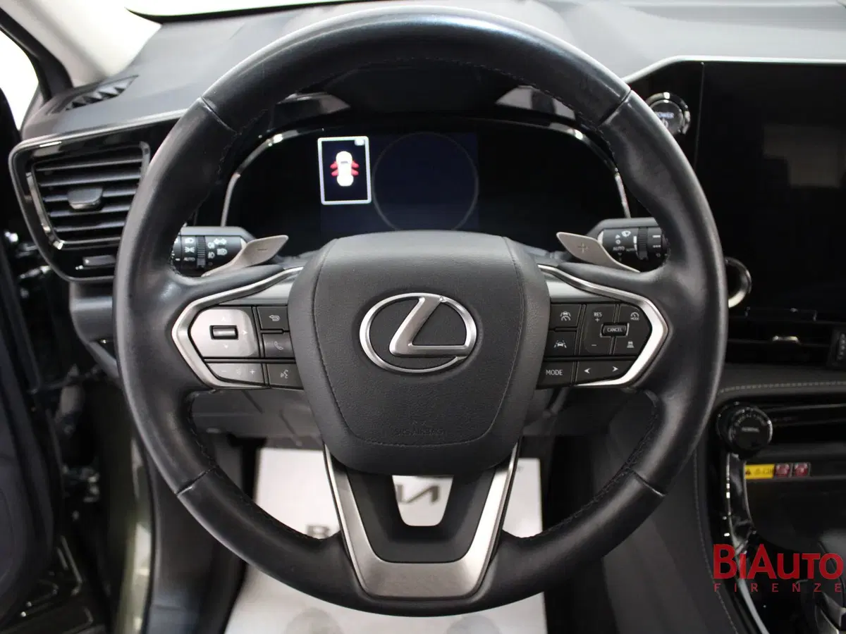 Lexus NX usata a Firenze (11)