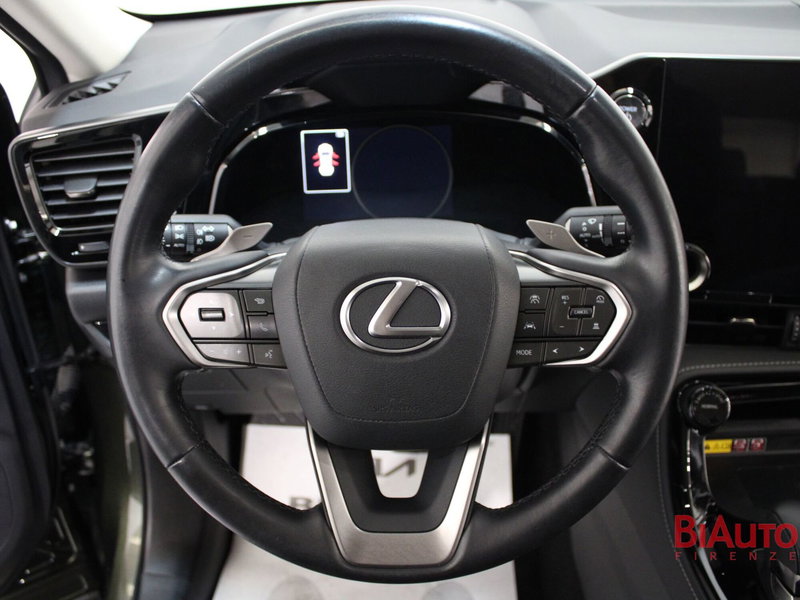 Lexus NX usata a Firenze (11)