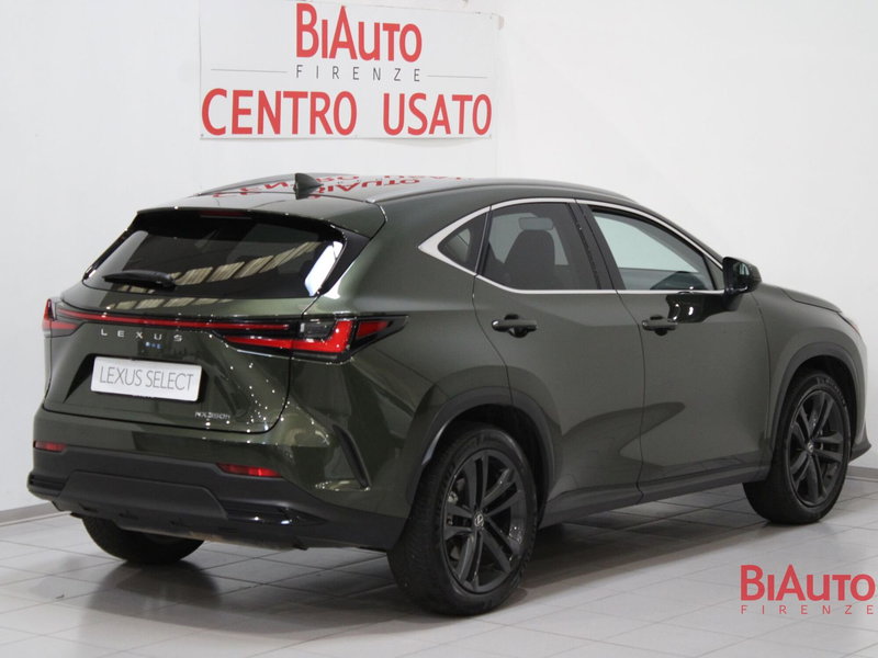 Lexus NX usata a Firenze (3)