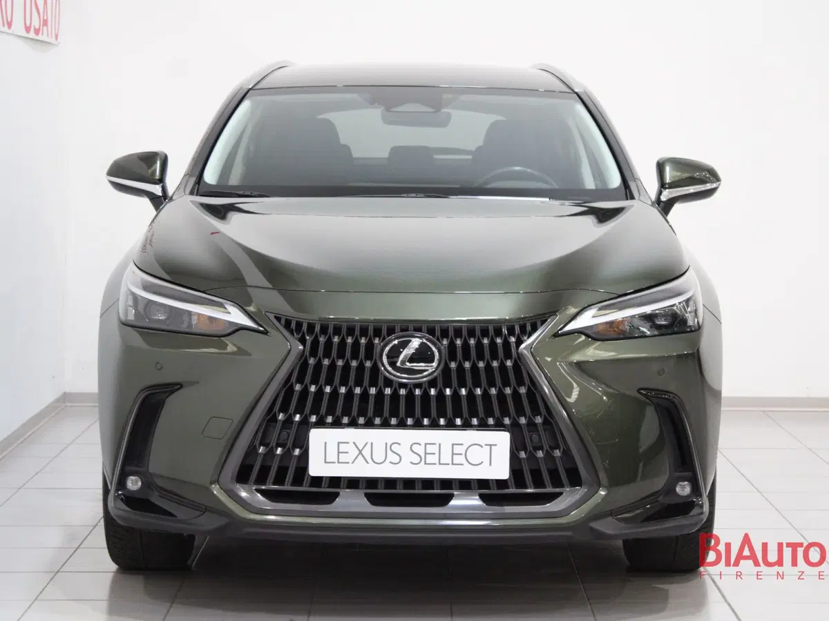 Lexus NX usata a Firenze (4)