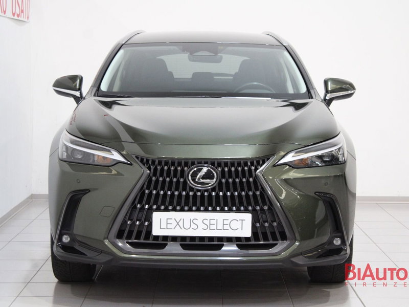 Lexus NX usata a Firenze (4)
