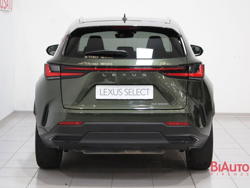 Lexus NX usata a Firenze (5)