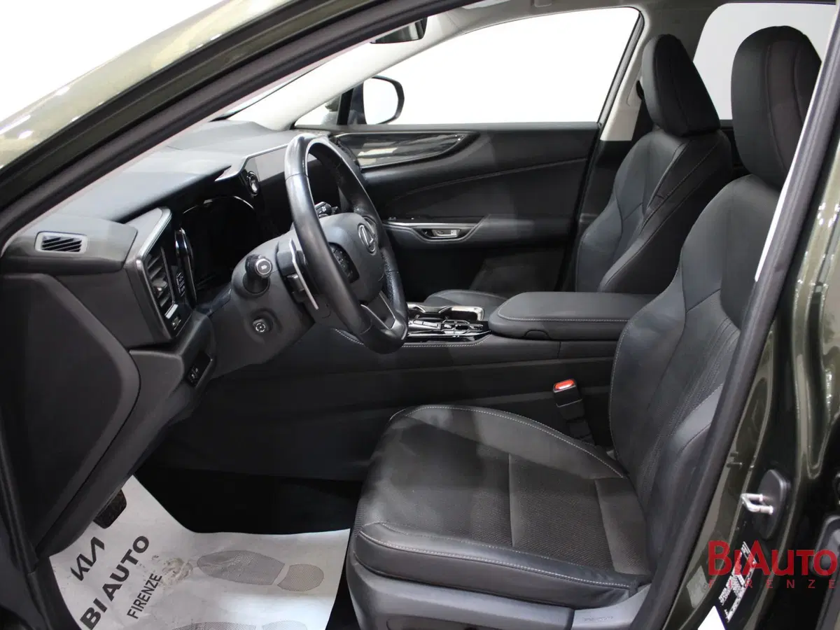 Lexus NX usata a Firenze (6)