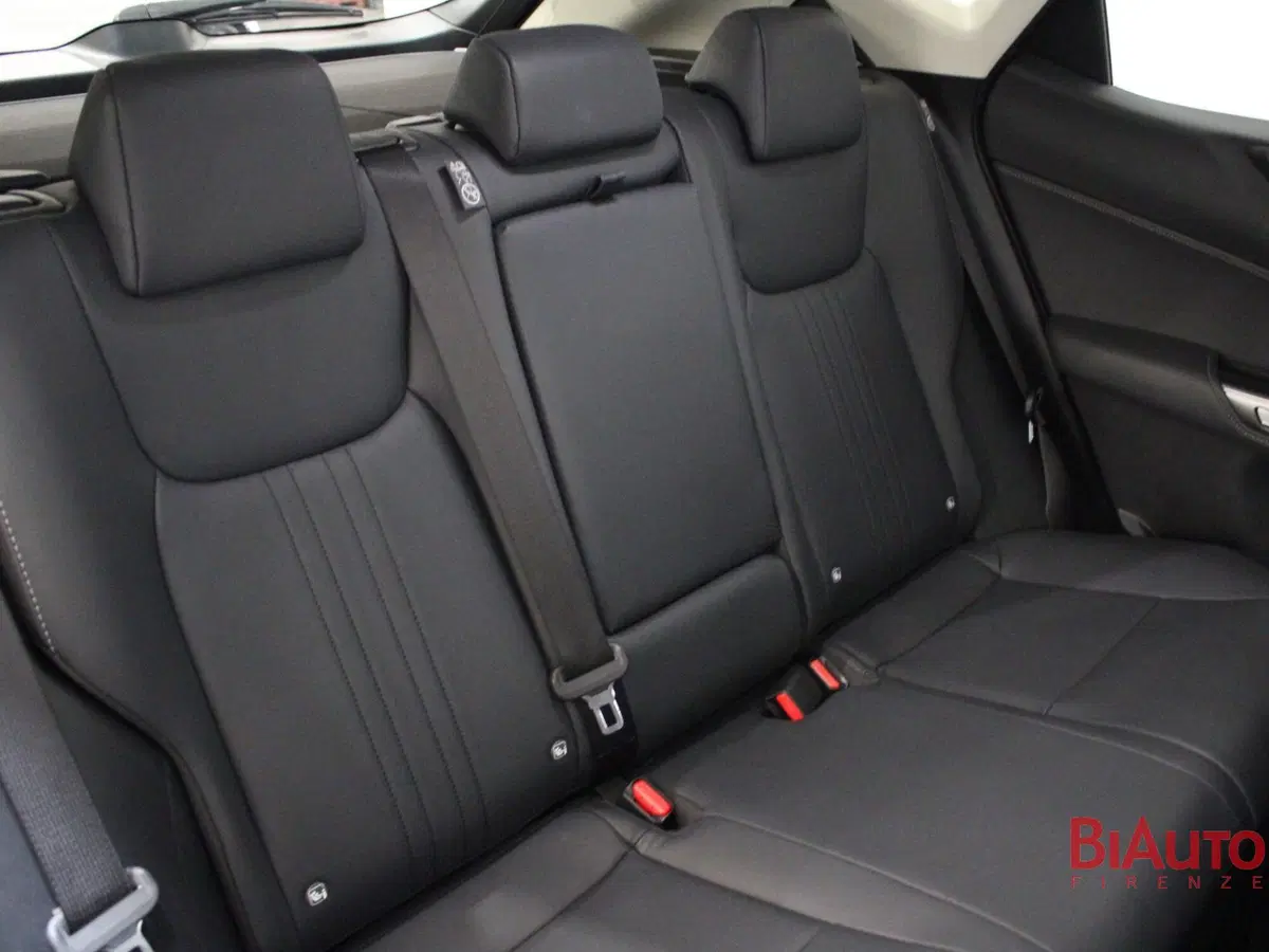 Lexus NX usata a Firenze (8)