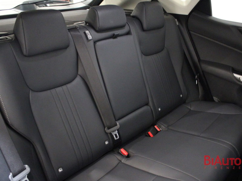 Lexus NX usata a Firenze (8)
