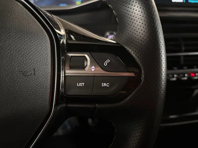 Peugeot 2008 usata a Torino (19)