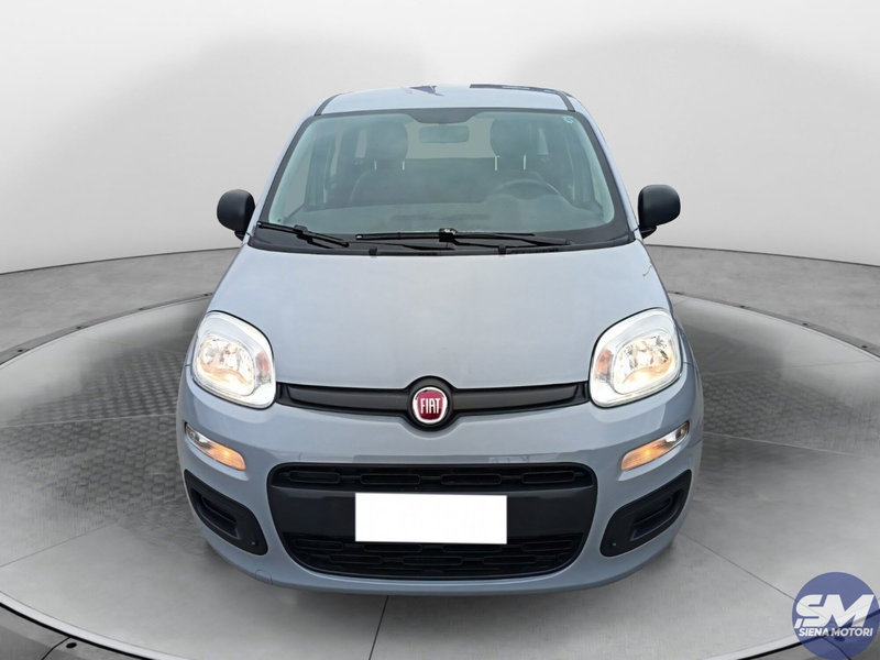Fiat Panda usata a Siena (2)