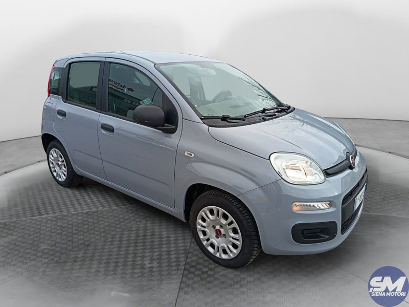 Fiat Panda usata a Siena (3)