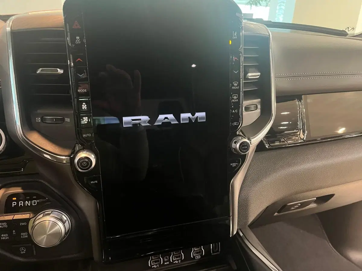 Ram Ram Pick-up usata a Asti (10)