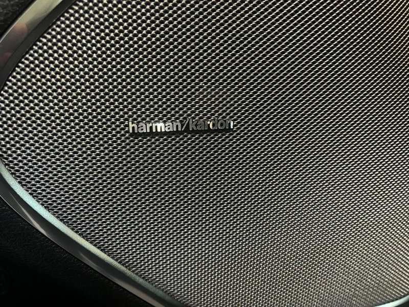 Ram Ram Pick-up usata a Asti (18)