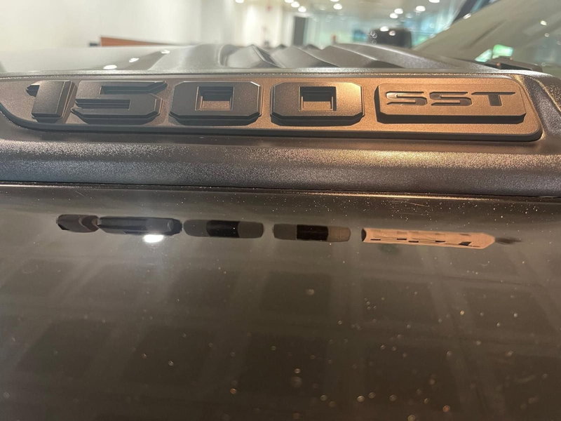 Ram Ram Pick-up usata a Asti (19)