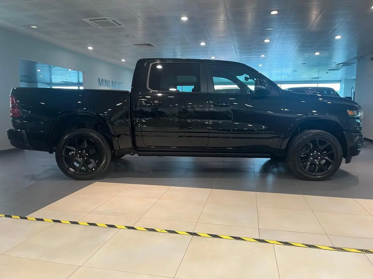 Ram Ram Pick-up usata a Asti (4)