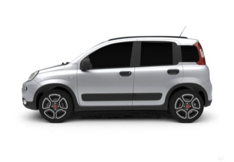 Fiat Panda Cross usata a Palermo (13)