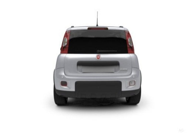 Fiat Panda Cross usata a Palermo (18)