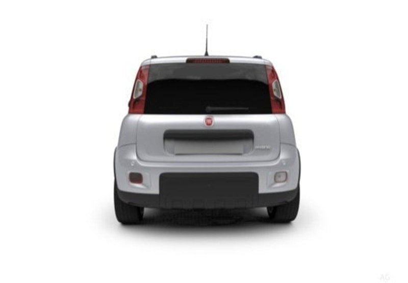 Fiat Panda Cross usata a Palermo (18)
