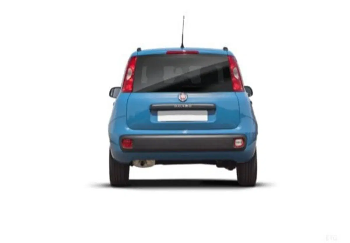 Fiat Panda Cross usata a Palermo (5)