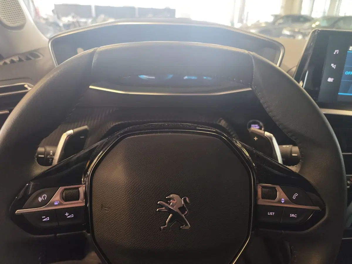 Peugeot 2008 usata a Milano (11)