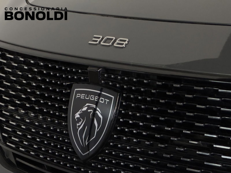 Peugeot 308 SW usata a Brescia (4)