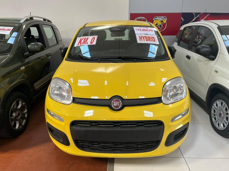 Fiat Panda nuova a Lucca (2)